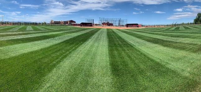 How do you grow thick green sports fields with less water, labor, and costs?